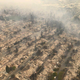 Image for article titled The aftermath of destructive wildfires, seen from above